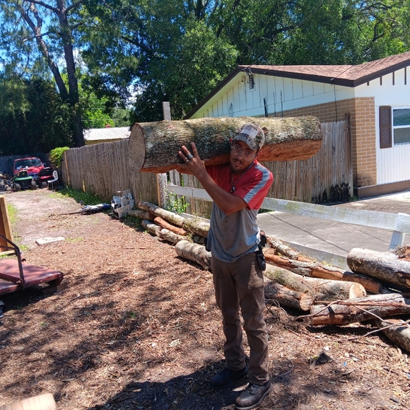 Artwork - Picture 3 of 5